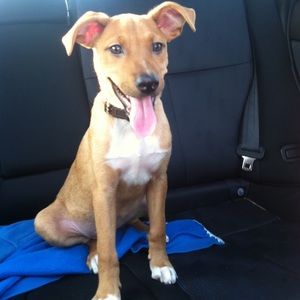 Meet your Posher, Danielle